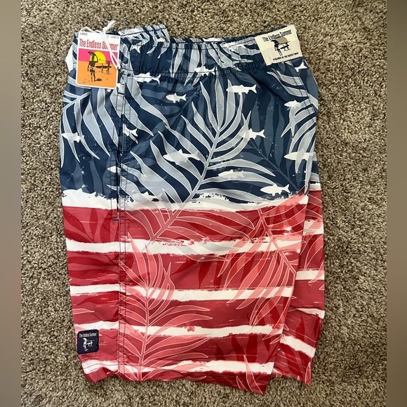 Endless Summer Men’s Printed Swim Trunks with Stretch, 5.5" Inseam - 4th of July - Picture 1 of 6